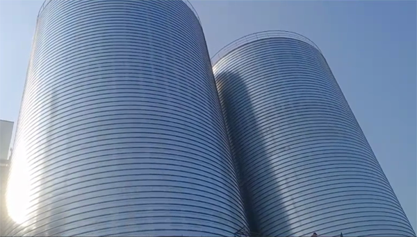 云霄2座混凝土高架卷板仓